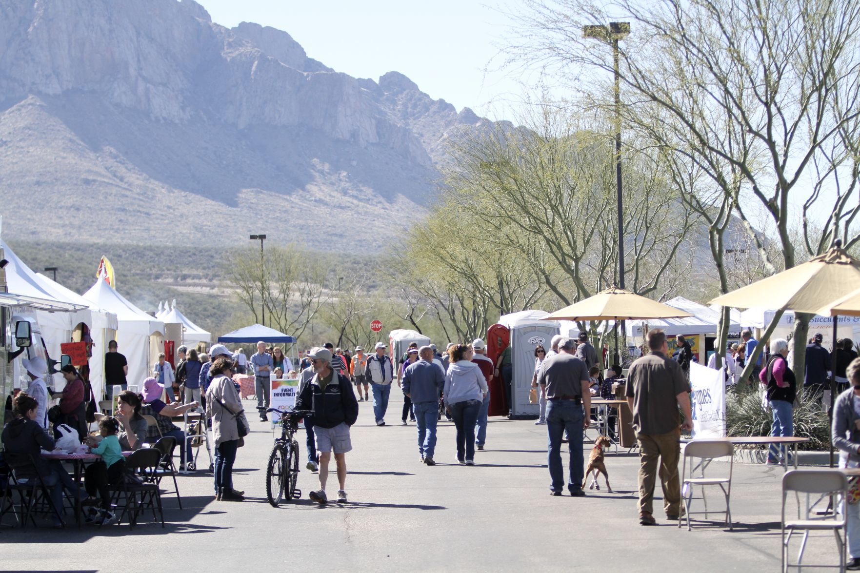 Festival of the Arts.jpg
